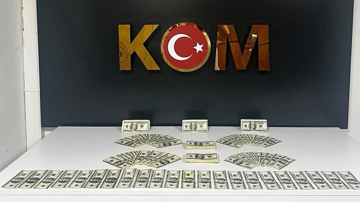 Bodrum'da sahte dolar operasyonu: 46 bin 200 dolar ele geçirildi