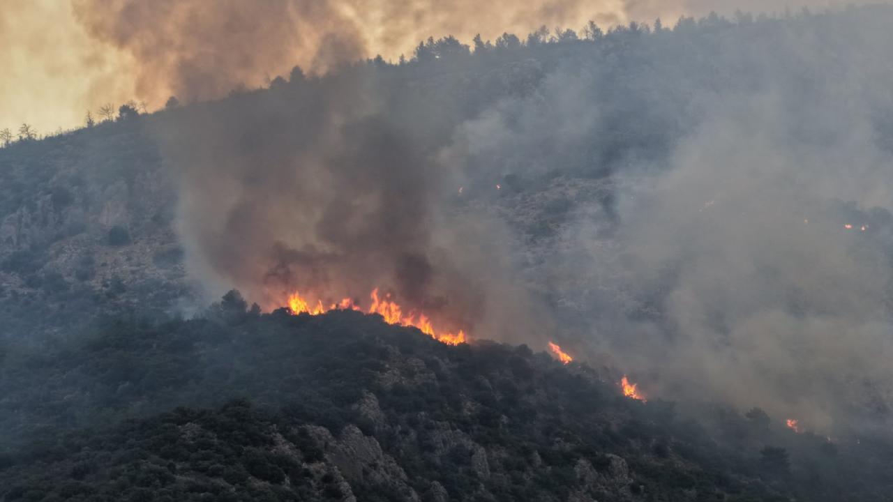 Kaş'taki orman yangını ikinci gününde kontrol altına alınmaya çalışılıyor