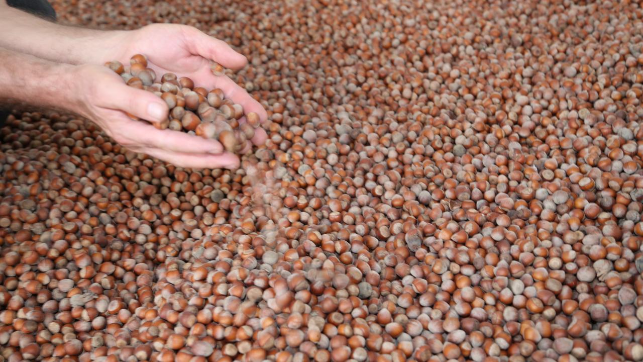 TCMB rezervleri 164,4 milyar dolara yükseldi