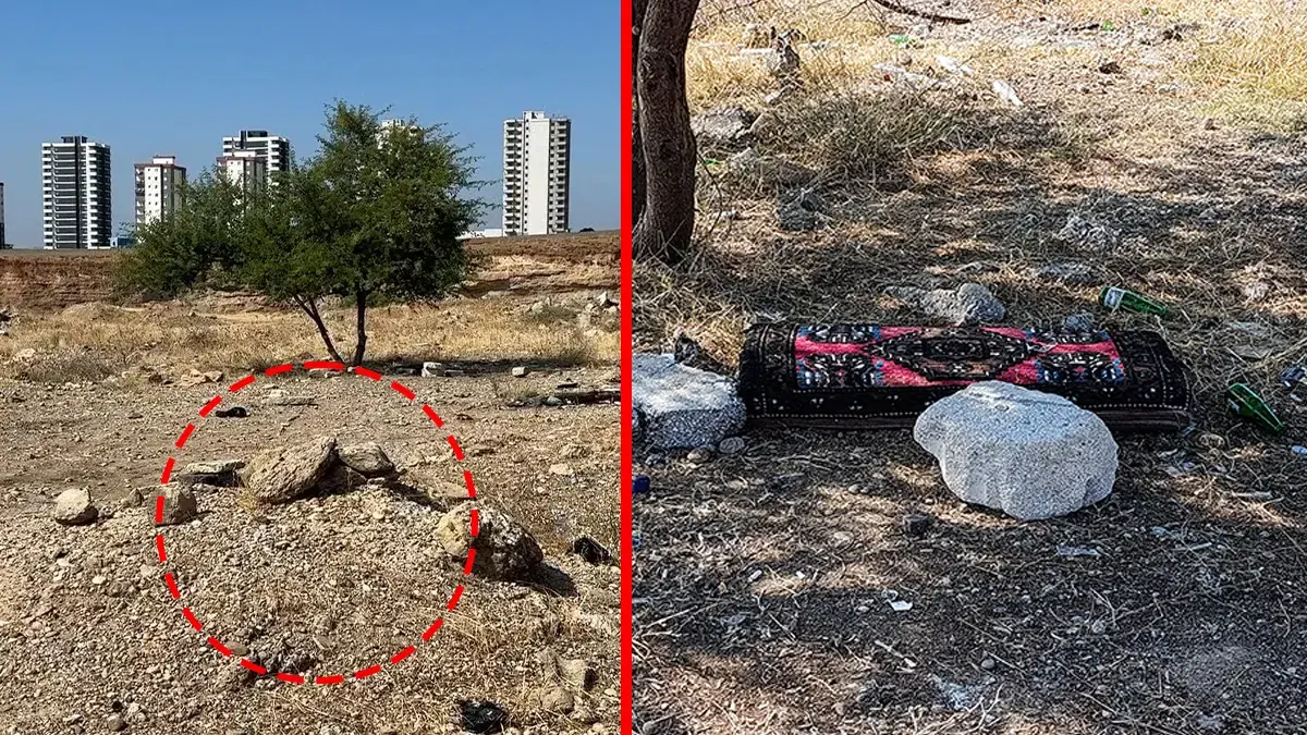 Kayıp Ayşegül Yaşar'ın cesedi bulundu: Şüpheli cinayeti itiraf etti
