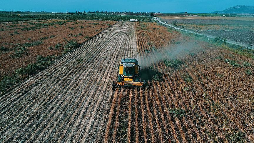 Çiftçilere 195,6 milyon lira tarımsal destek ödemesi