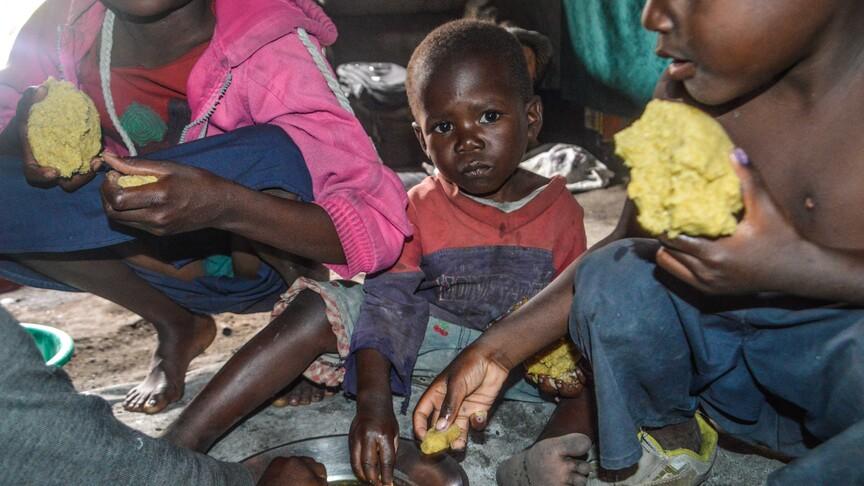 Kongo'da Ebola Salgını Gıda Krizini Derinleştiriyor