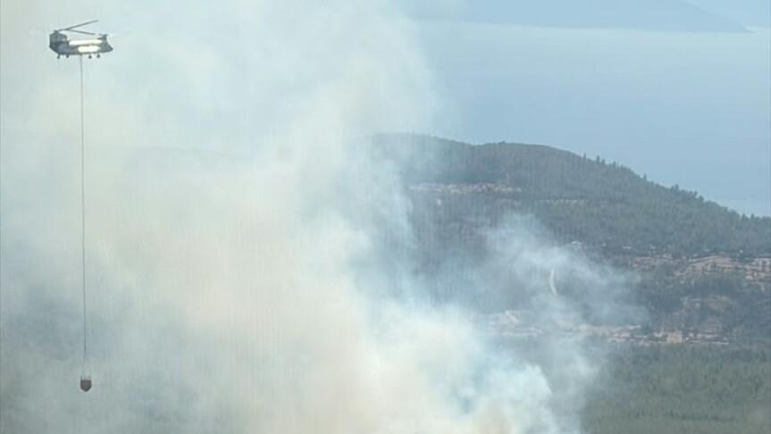 Bodrum'da orman yangını: 2 uçak, 6 helikopter devrede