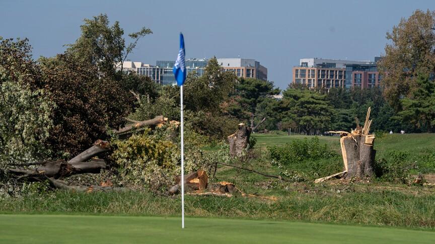 ABD'de yargıç, Washington'daki golf sahasında ağaç kesimini durdurdu