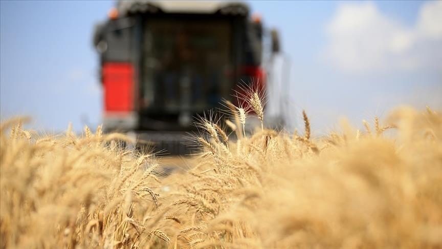 Küresel gıda fiyatları 3,5 yılın zirvesine çıktı