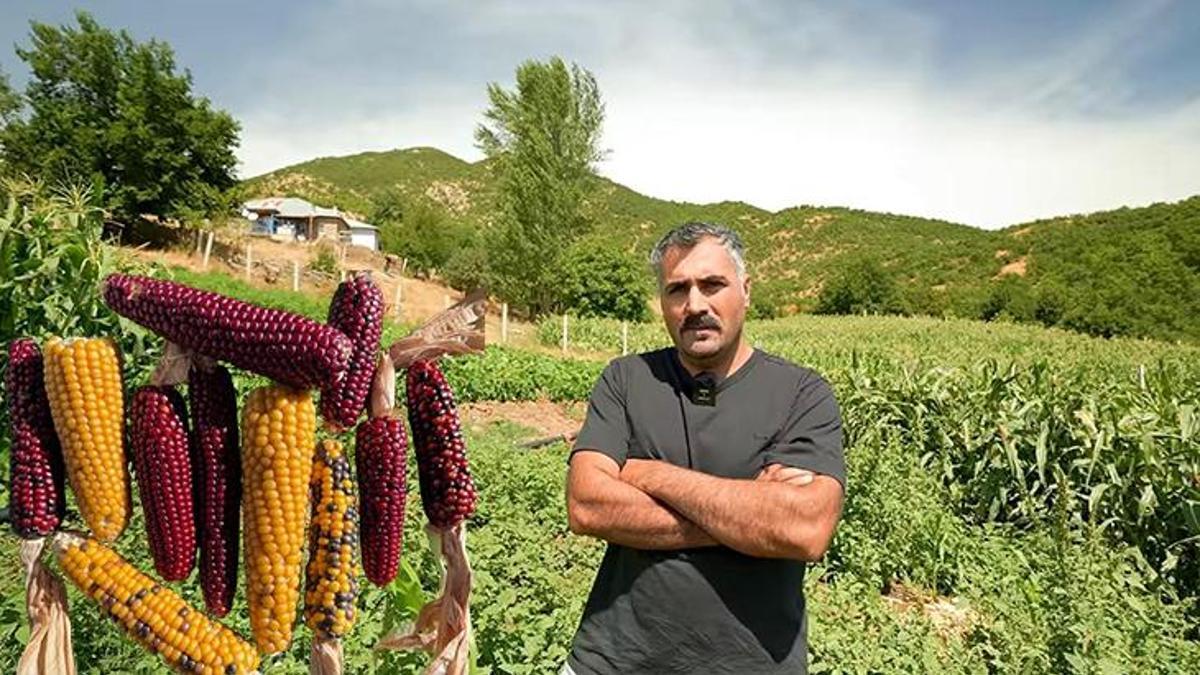 Moskova'daki kariyerini bırakıp köyüne döndü, ambarda 100 yıllık tohum buldu