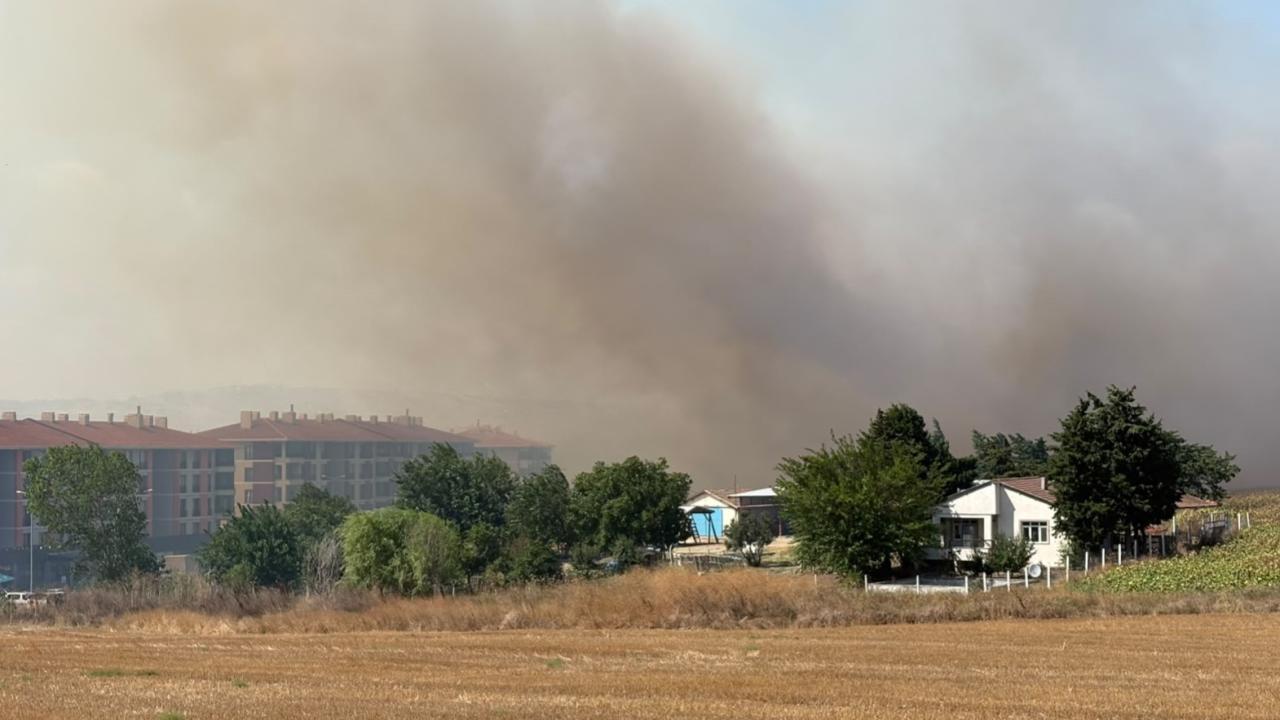 Balıkesir ve Bilecik'teki orman yangınlarına havadan müdahale
