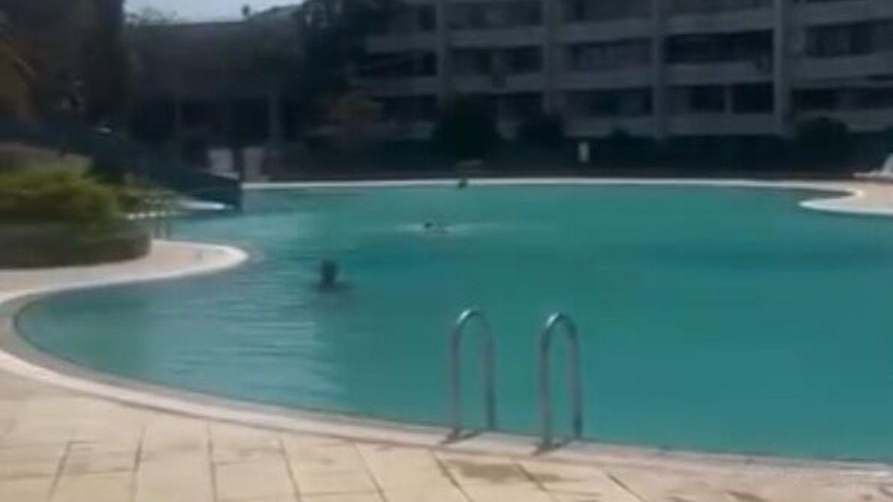 Mersin’de bir kadının haşema ile havuza alınmadığı iddiasına tutuklama
