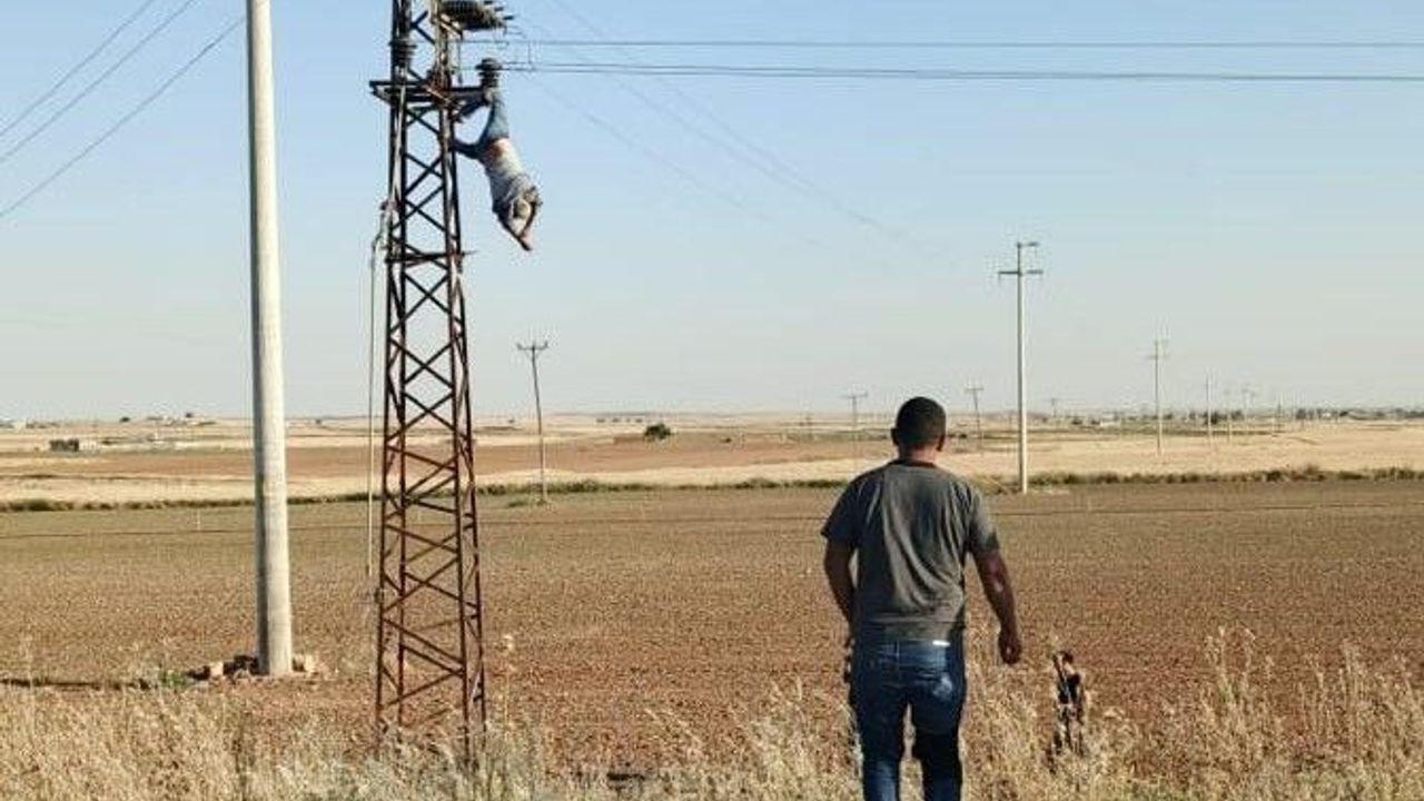 Akıma kapıldığı direkte asılı kaldı