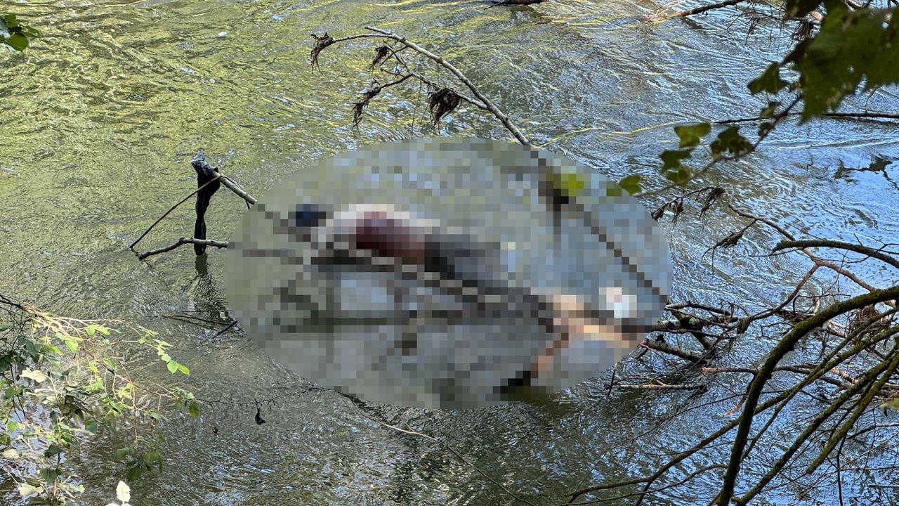 Tunca Nehri'nde erkek cesedi bulundu