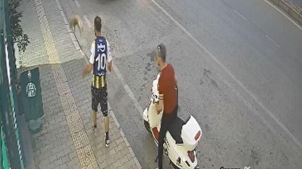 Samsun'da kediye şiddet kamerada