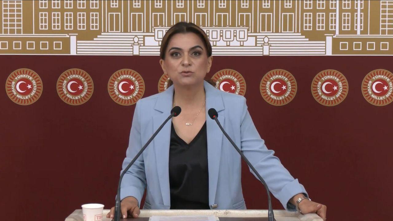 DEM Parti'li Koçyiğit: Barışın hukuksal bir güvenceye ihtiyacı var