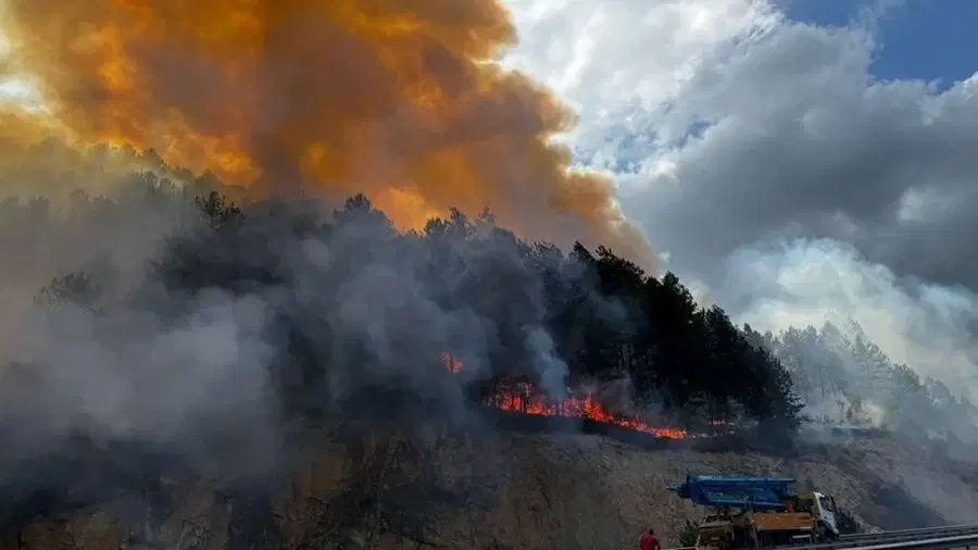 Bolu'nun Mengen İlçesinde Orman Yangını
