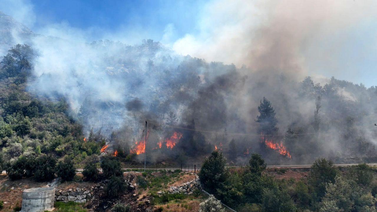 Alanya'daki orman yangını 2'nci gününde çalışmalar sürüyor