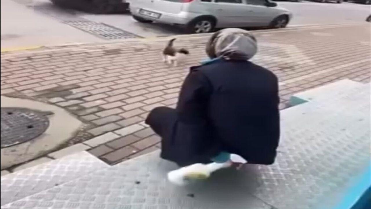 Kedinin yüzüne sprey sıkan market çalışanı beraat etti