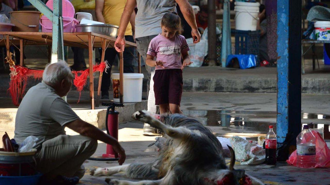'12 yaşından küçüklere kurban kesimini göstermeyin'