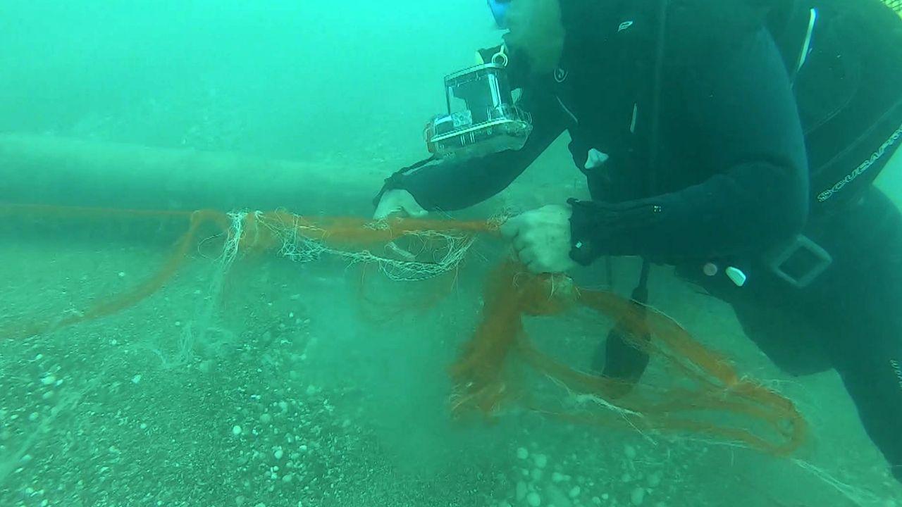 Temizlenen 'hayalet ağlar' ile 1,5 milyon deniz canlısı kurtarıldı