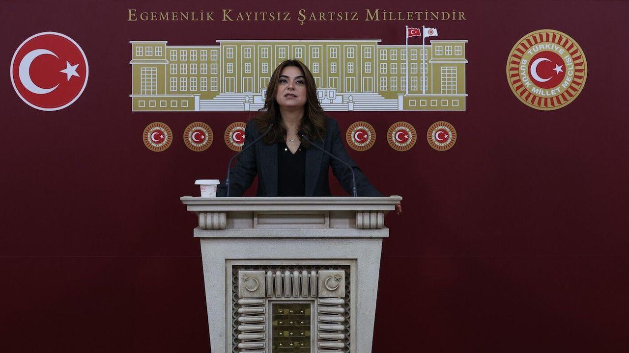DEM Parti'li Koçyiğit: Barışın hukuka ihtiyacı var