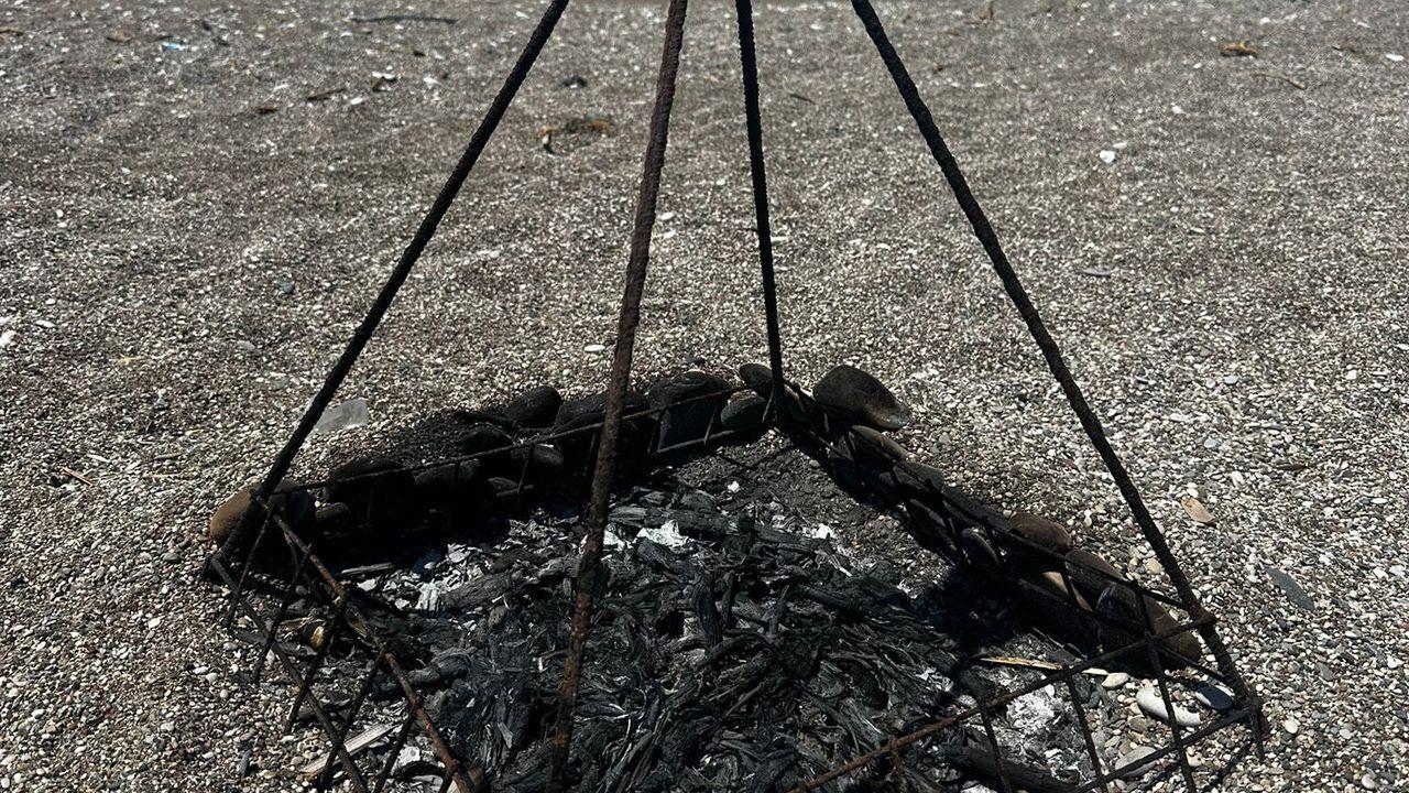 Deniz kaplumbağası koruma demirinin ortasında ateş yaktılar; inceleme başlatıldı