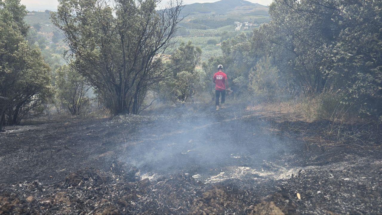 Bursa'da yangın; 4 dönüm alan zarar gördü