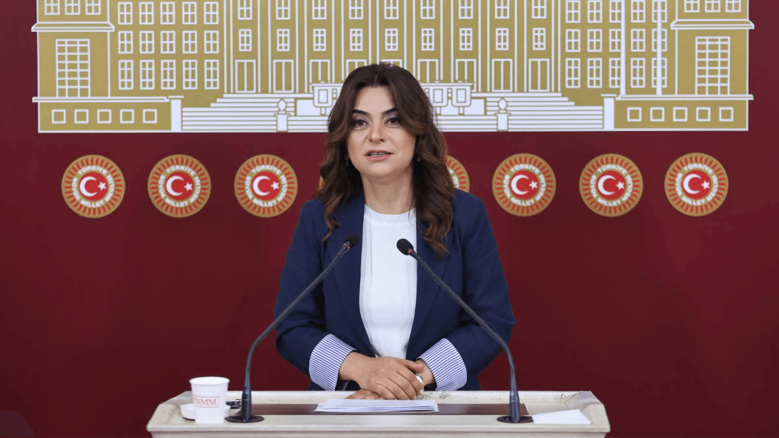 DEM Parti'li Koçyiğit: Hukuki düzenlemeler bütüncül perspektifle hayata geçirilmeli