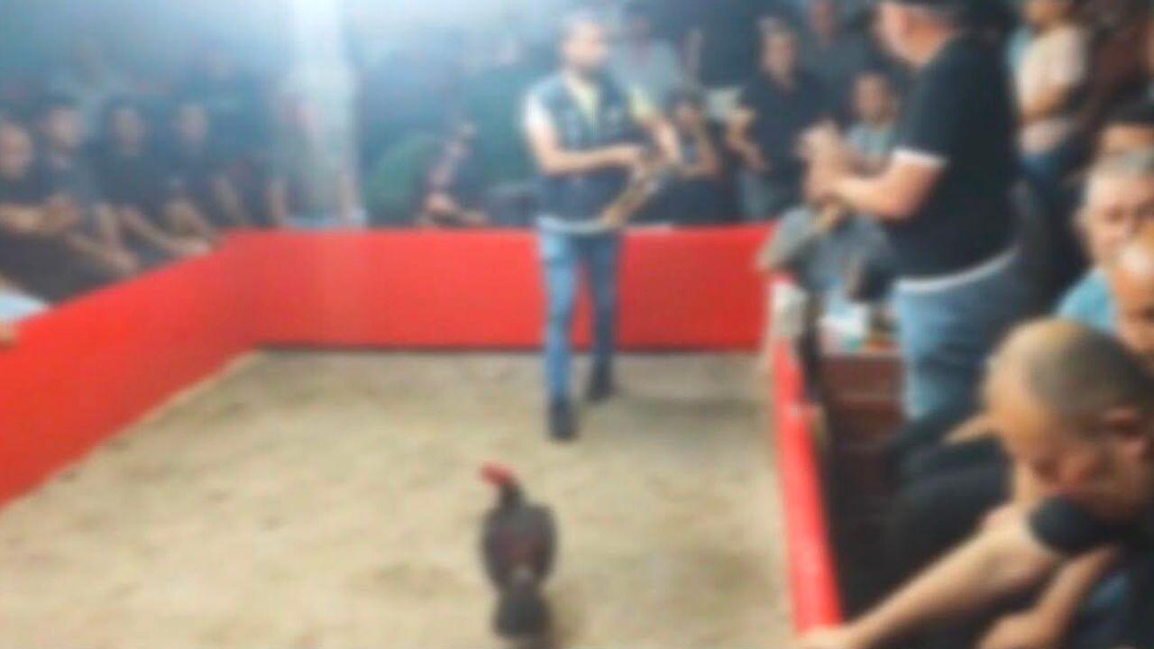 Hayvanları Koruma Derneği kurup horoz dövüştürdüler: 110 kişiye 1,2 milyon lira ceza