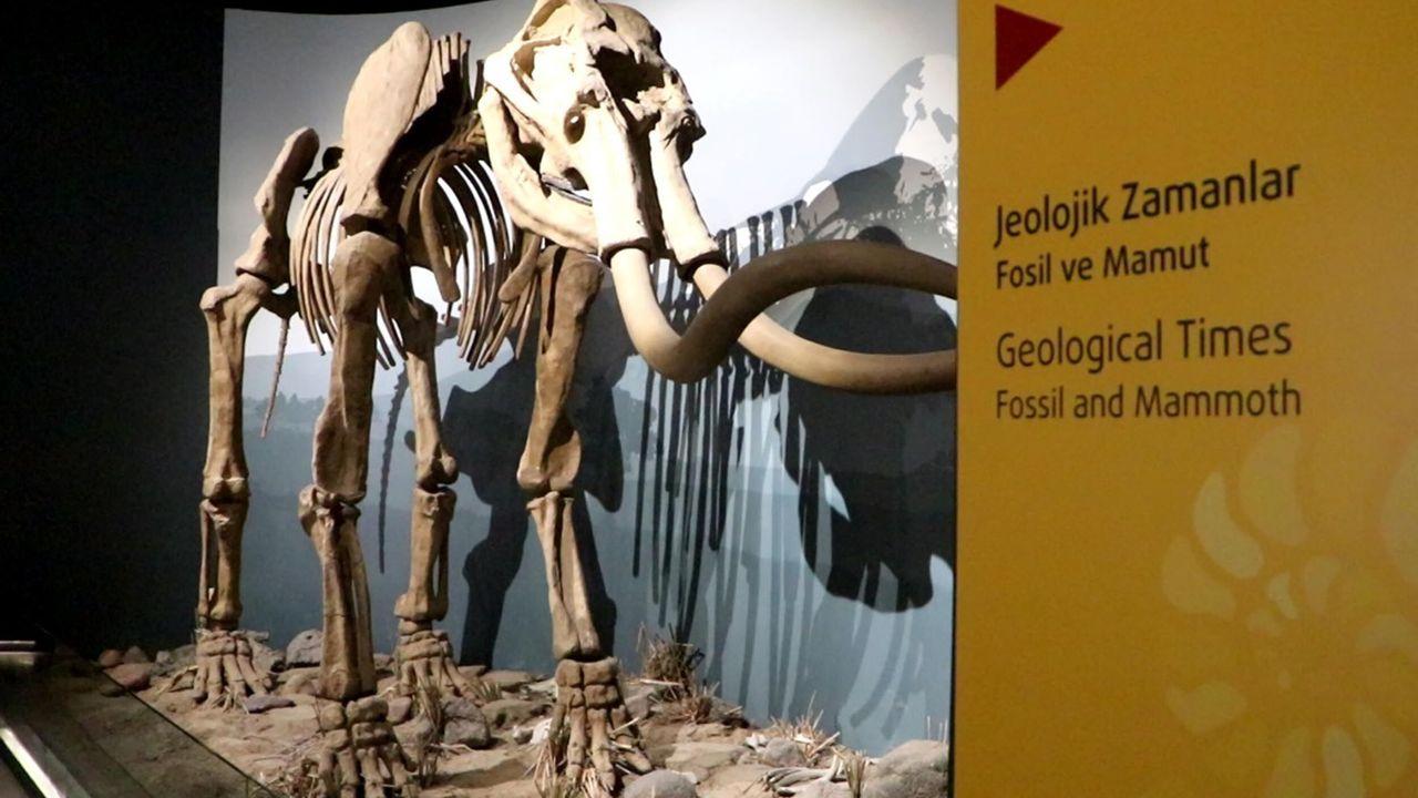 500 bin yıllık mamut fosilinin de sergilendiği müzeyi yaklaşık 100 bin kişi gezdi