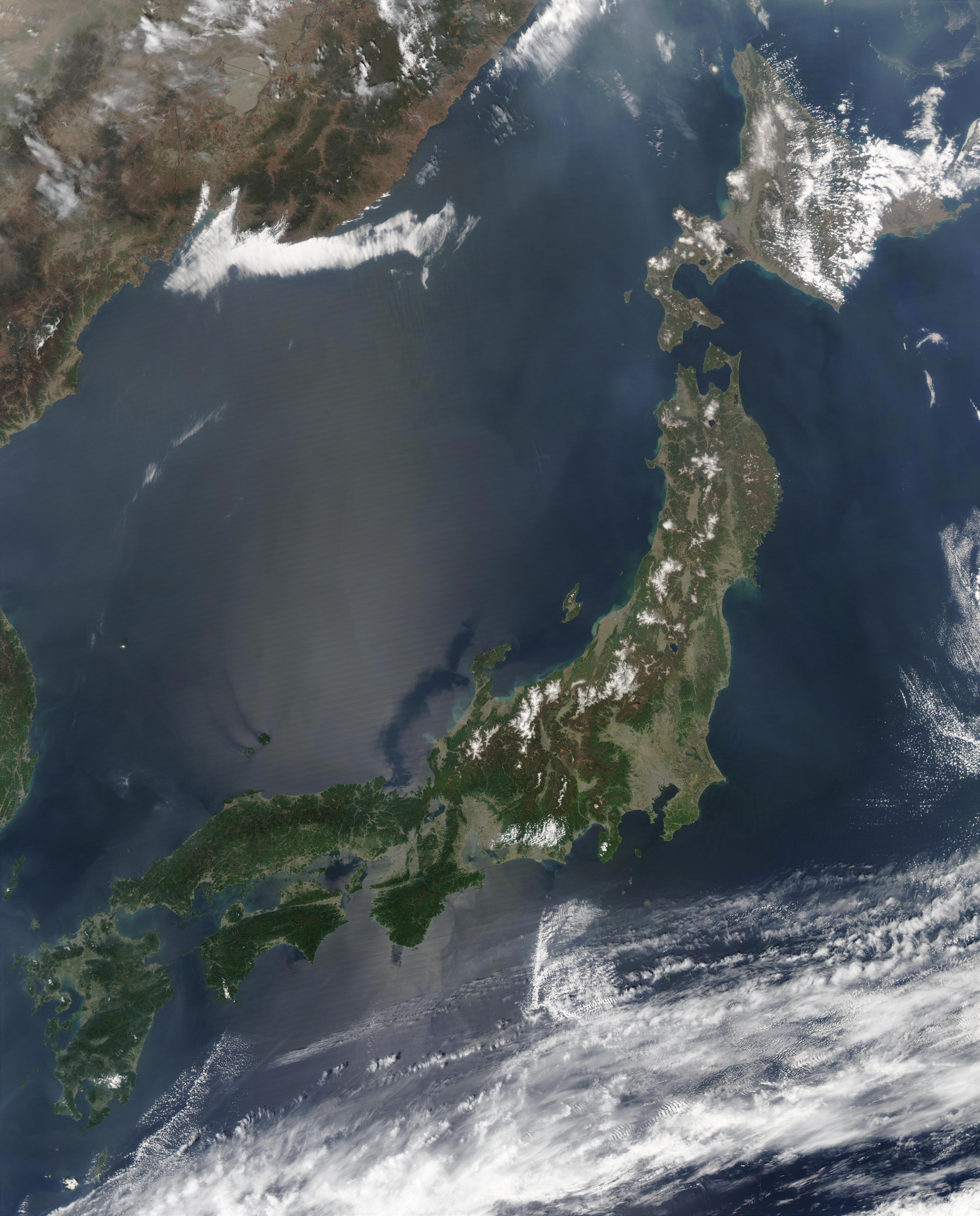 Japonya'da 15 günlük vizeyle gelip 33 yıl kalan Güney Koreli yakalandı