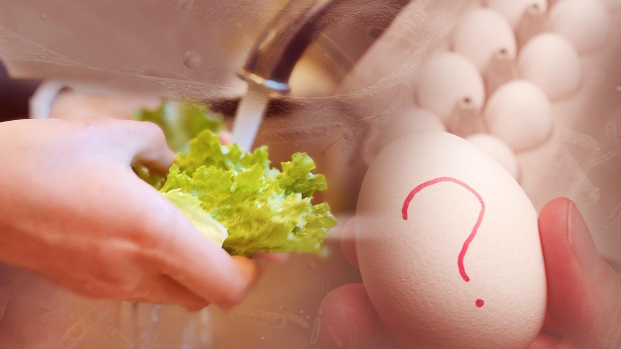 Belçika'da salmonella bulaşan yumurtalar 306 kişiyi hasta etti