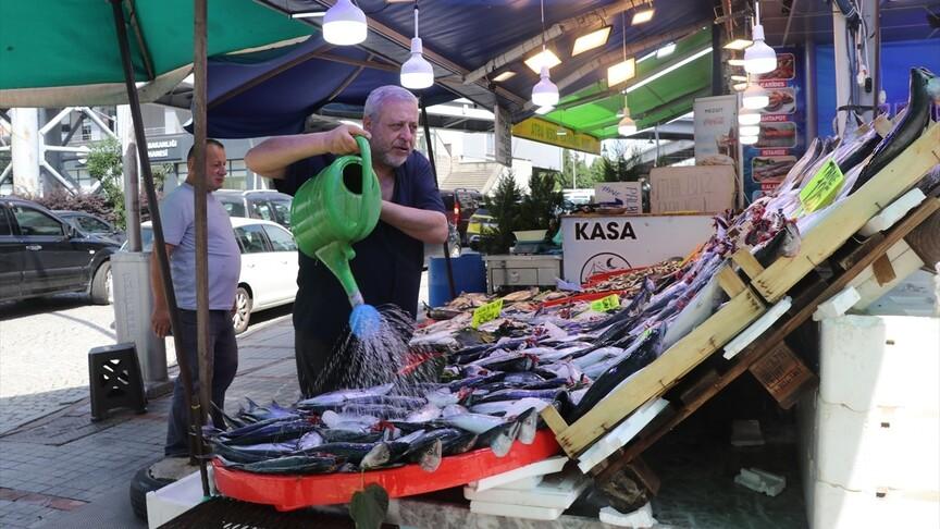 Karadeniz'de av yasağı sona erdi, tezgahlar palamutla doldu
