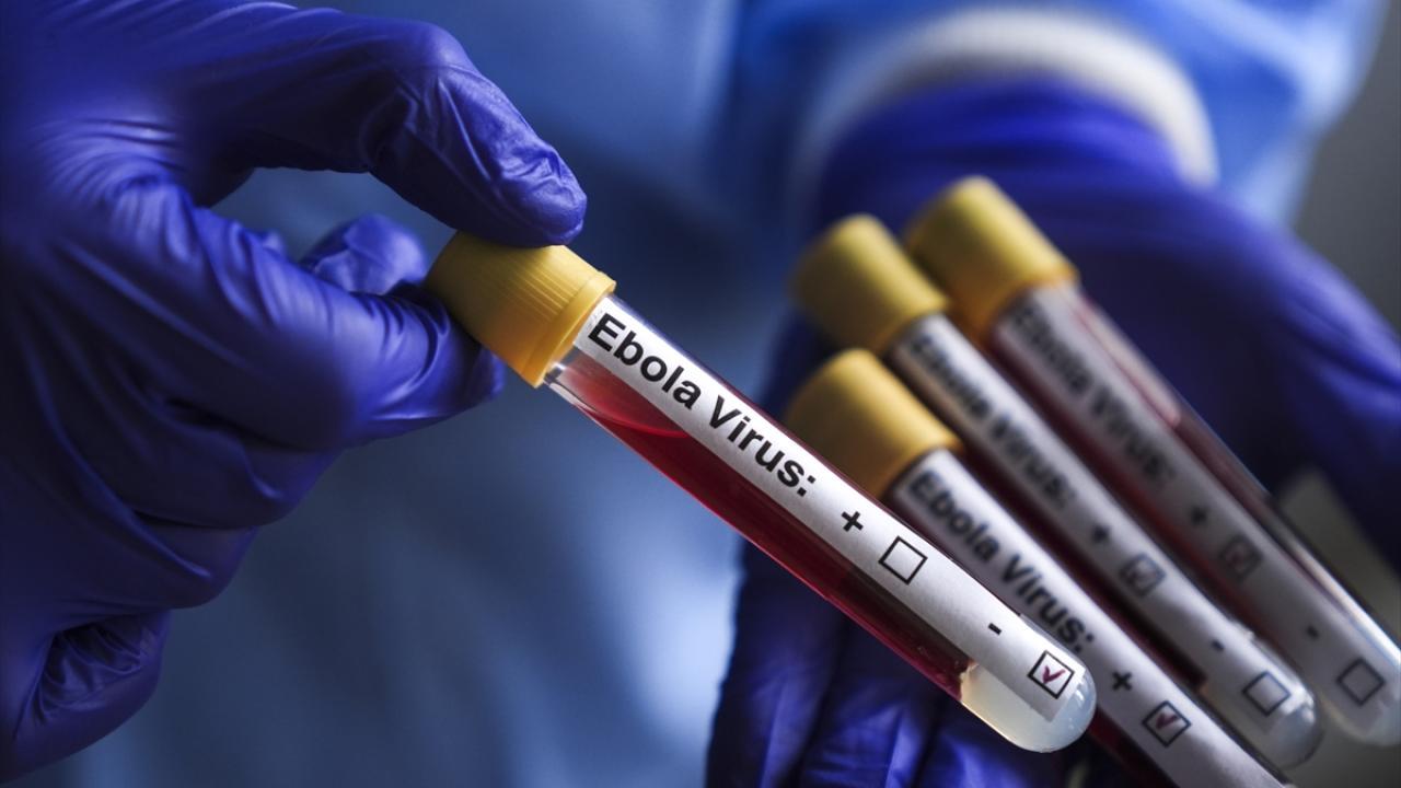 DSÖ: KDC'deki Ebola salgını acil durum statüsünü koruyor