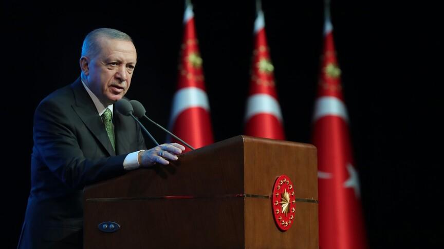 Türkiye'den AP'ye sert tepki: Tarihi gerçekler çarpıtılıyor