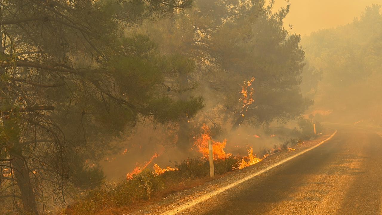 Çanakkale ve Balıkesir'de Orman Yangınları Sürüyor