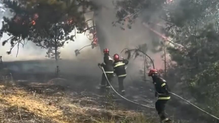 Sırbistan'da 45 orman yangınına müdahale sürüyor, 1 kişi hayatını kaybetti