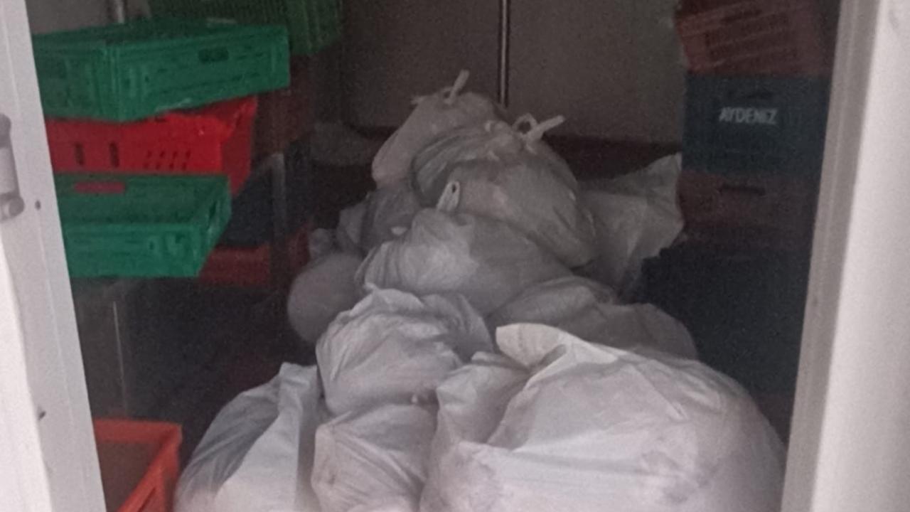 Bodrum'da kasap deposundan 400 kilogram bozuk et çıktı
