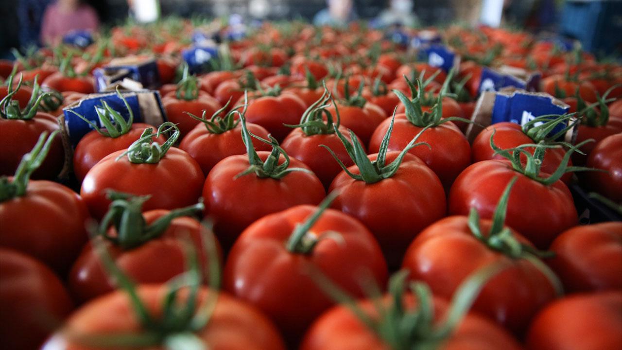 Türkiye'nin yaş sebze ihracatı 9 ayda yüzde 10 arttı