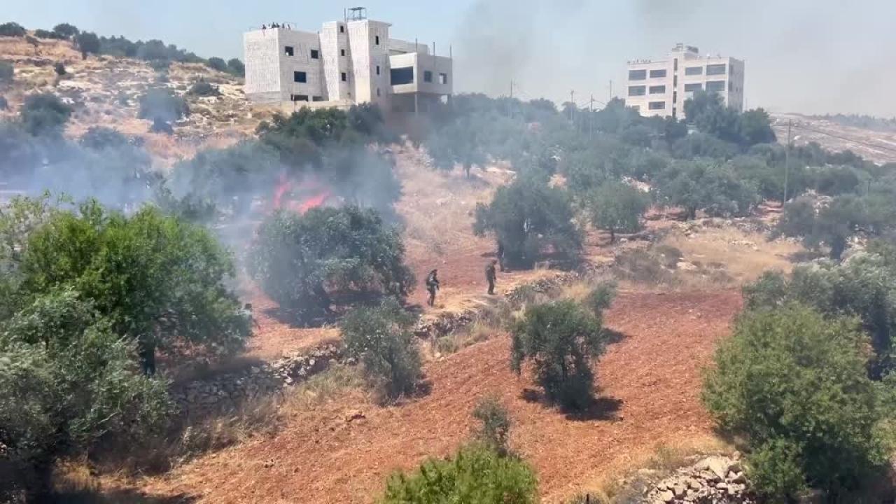 Batı Şeria'da zeytin hasadına 136 saldırı: 3 Filistinli hayatını kaybetti