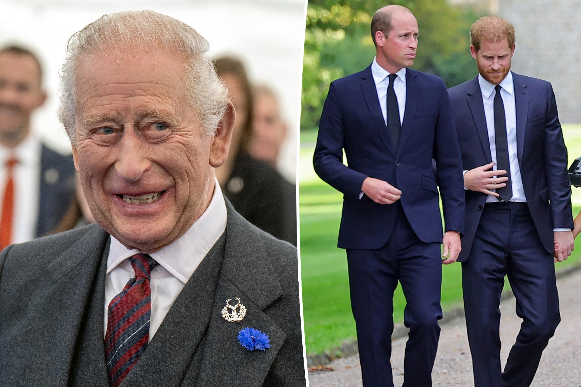 Kral Charles, William ile Harry'yi Diana töreniyle barıştırmayı planlıyor