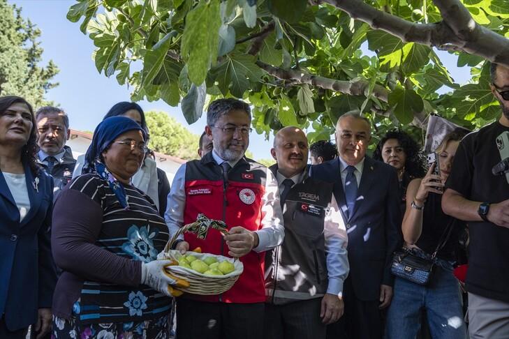 Bakan Yumaklı: Türkiye dünya incir üretiminde yüzde 28 payla lider