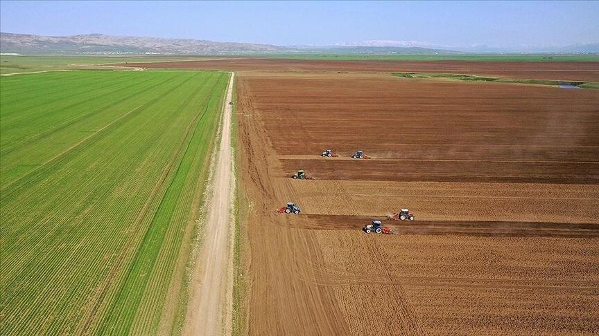 Tarımsal girdi fiyatları haziranda yıllık %32 arttı