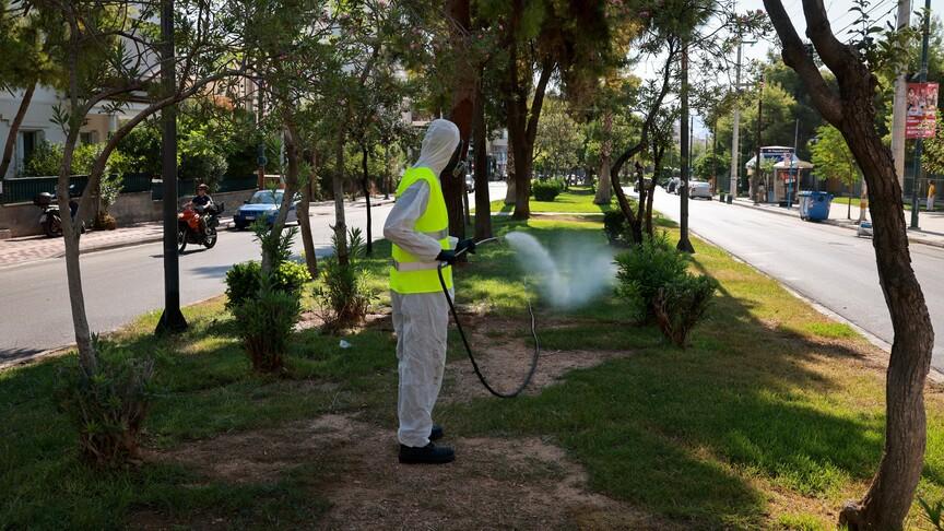 Yunan uzman: Batı Nil virüsü vakaları ağustos sonunda zirve yapıyor