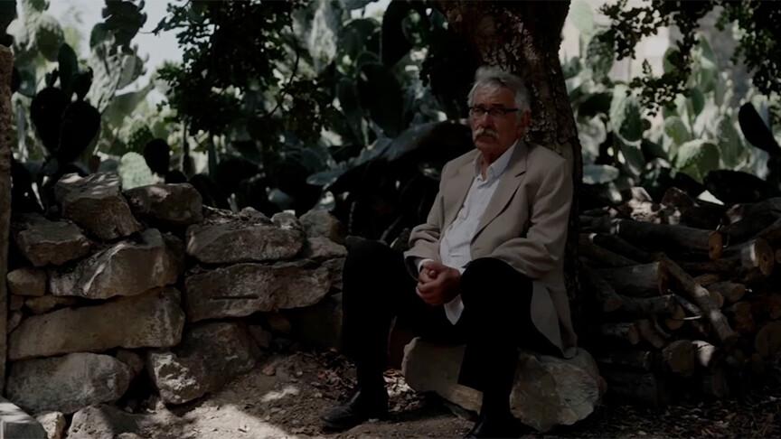 TRT Yapımı 'Kesilmiş Bir Ağaç Gibi' Oscar'a Aday Gösterildi