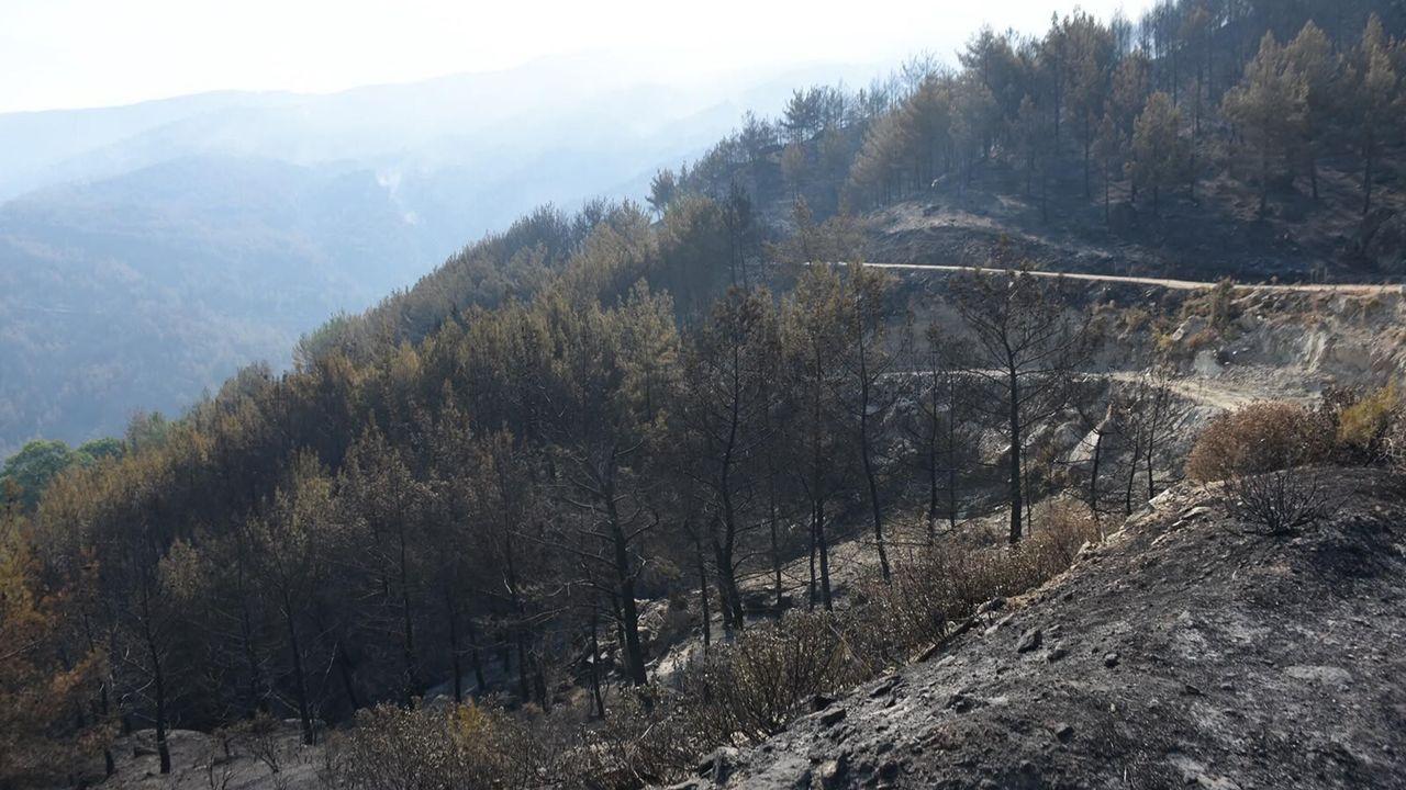 Aydın’daki orman yangını 3'üncü gününde