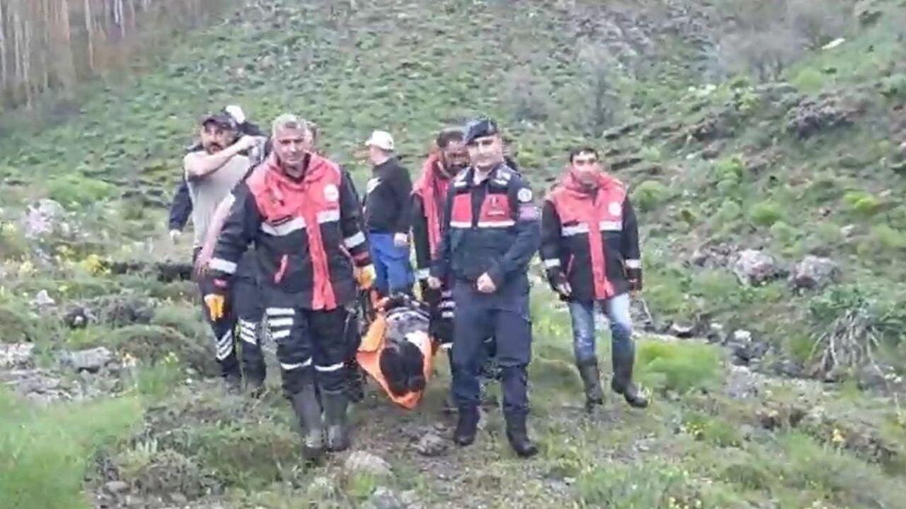 Mantar toplarken ayı saldırısında yaralandı