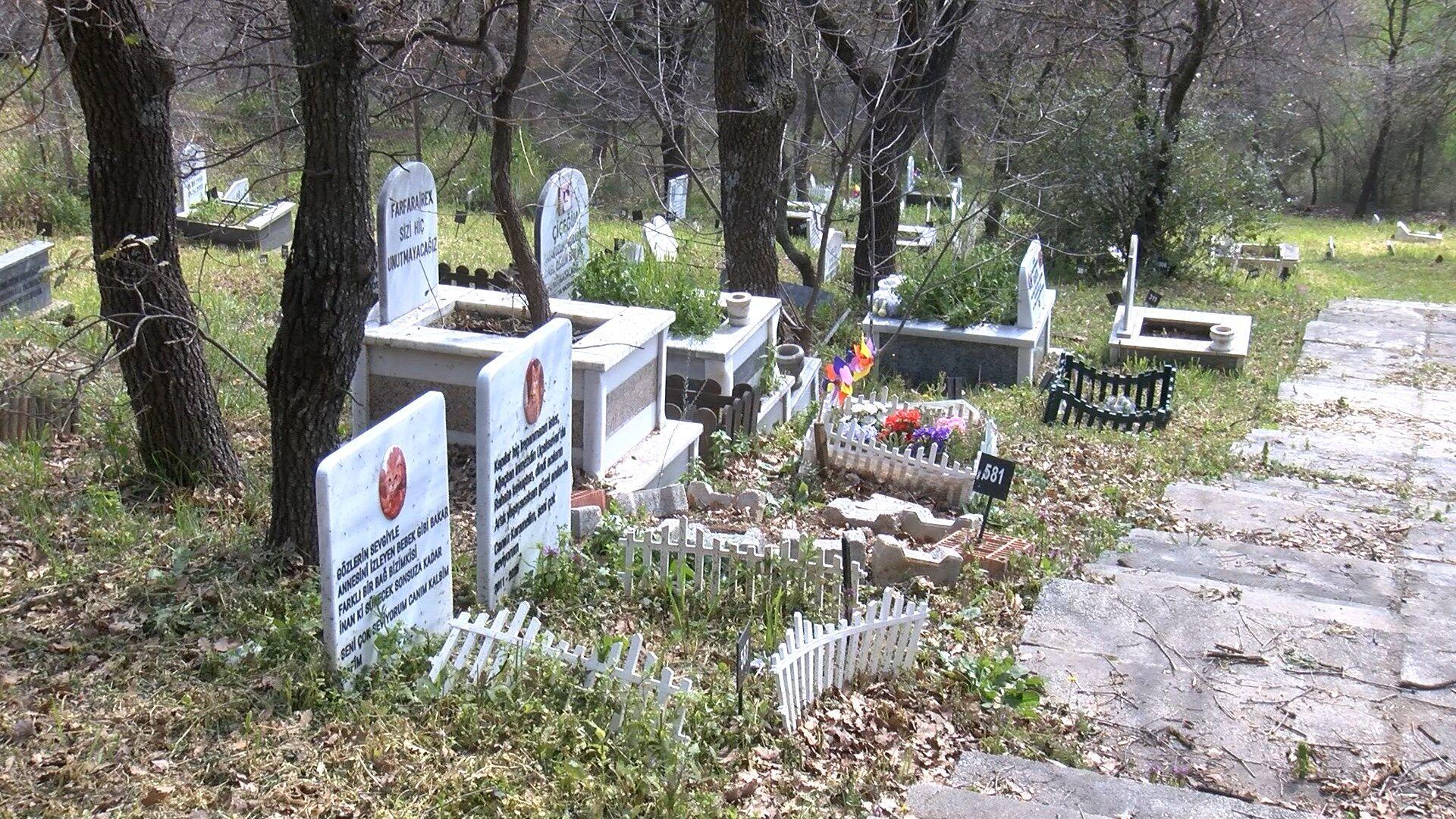 Türkiye'nin ilk evcil hayvan mezarlığına bayram ziyareti