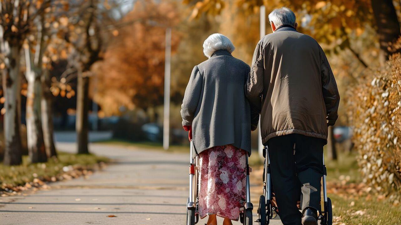 Yaşlı Destek Programı'na başvurular başladı