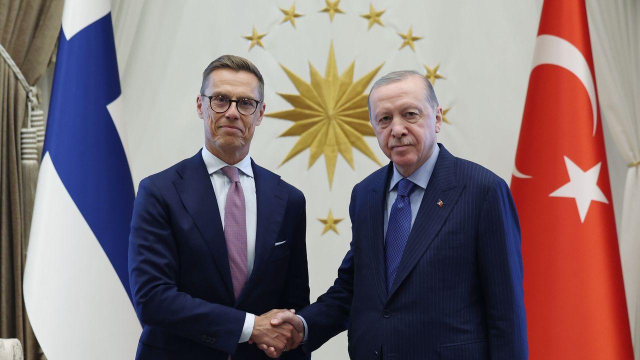 Cumhurbaşkanı Erdoğan, Finlandiya Cumhurbaşkanı Stubb ile bir araya geldi