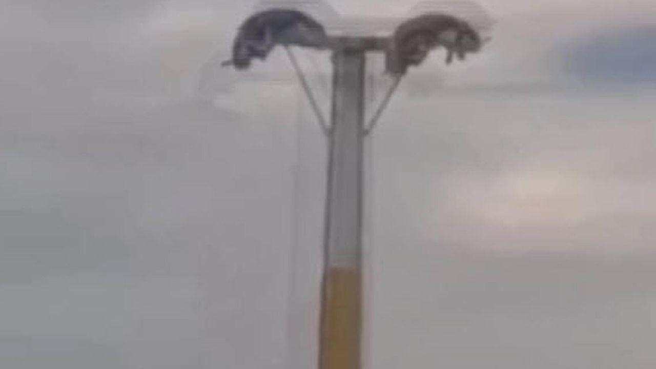 Lunaparkta arızalanan oyuncakta baş aşağı mahsur kaldılar
