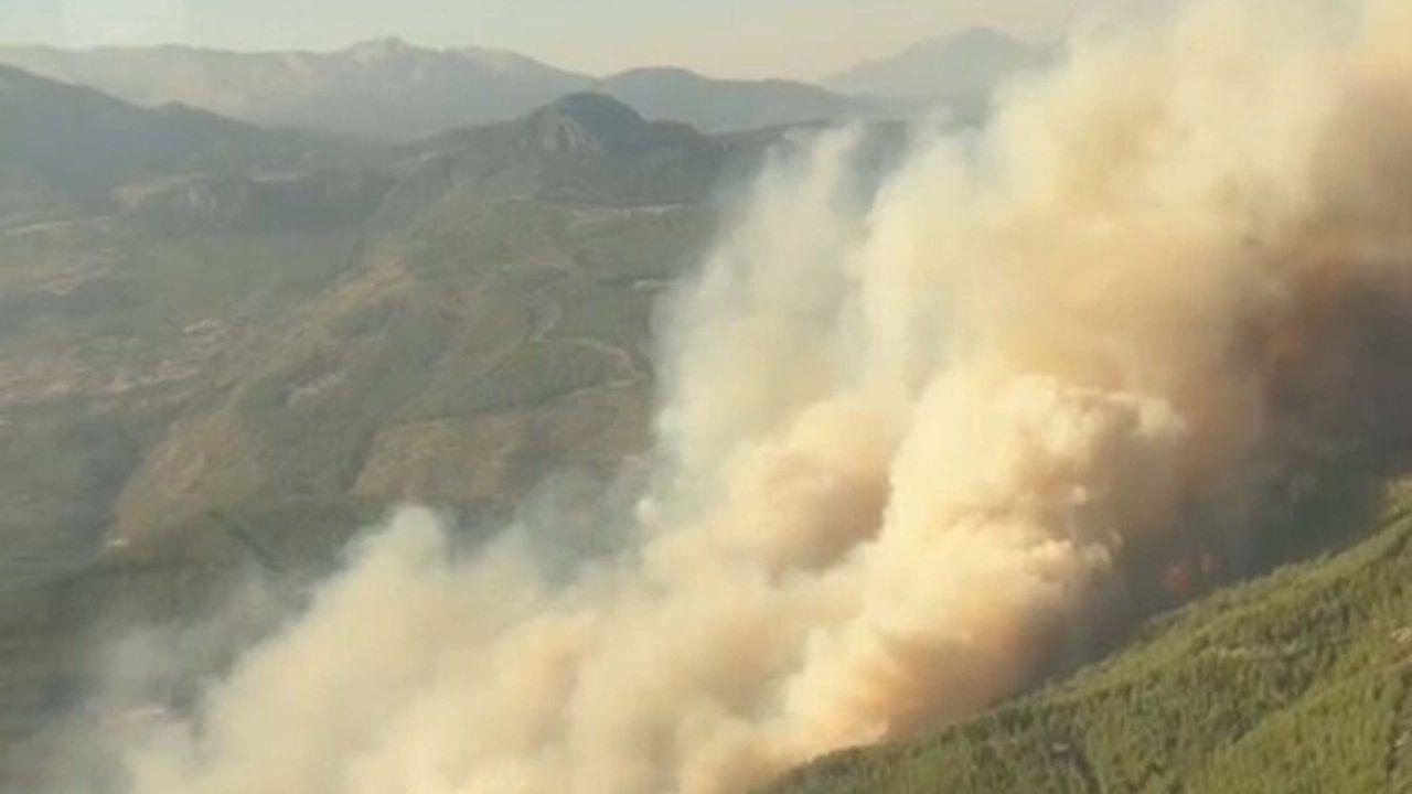 Muğla'da orman yangını